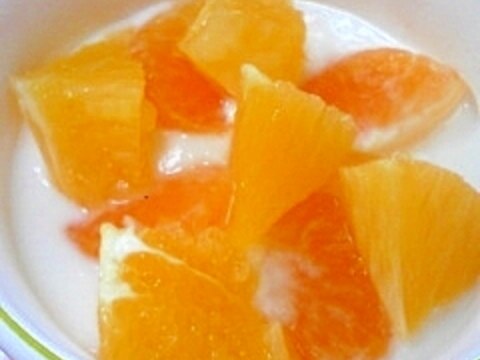 柑橘日米協奏☆みかん＆オレンジヨーグルト♪
